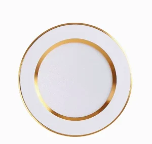 Recessed LED Downlights for Living Room Hallway Hotel Projects Multiple Wattages White Warm Light Options Ceiling Mounted
