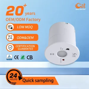 Rechargeable Emergency Spot Ceiling Light Recessed Type 3W LED Mini Emergency Downlight