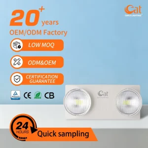 Rechargeable LED Emergency Light Twin Head Spot Adjustable 6W Wall Mount