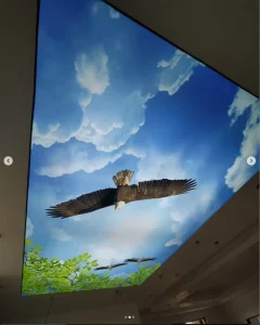 Rectangle Aluminum Frame LED Advertising Light Boxes with Stretch PVC Soft Film False 3D Digital Printing