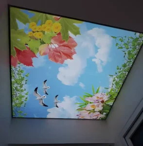 Rectangle Aluminum Frame LED Advertising Light Boxes with Stretch PVC Soft Film False 3D Digital Printing