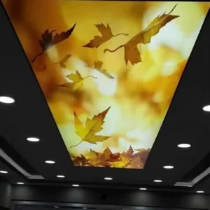 Rectangle Aluminum Frame LED Advertising Light Boxes with Stretch PVC Soft Film False 3D Digital Printing