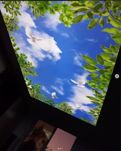 Rectangle Aluminum Frame LED Advertising Light Boxes with Stretch PVC Soft Film False 3D Digital Printing