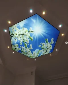 Rectangle Aluminum Frame LED Advertising Light Boxes with Stretch PVC Soft Film False 3D Digital Printing