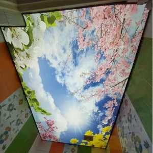 Rectangle Aluminum Frame LED Advertising Light Boxes with Stretch PVC Soft Film False 3D Digital Printing