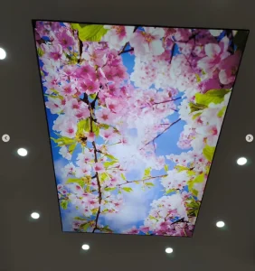 Rectangle Aluminum Frame LED Advertising Light Boxes with Stretch PVC Soft Film False 3D Digital Printing