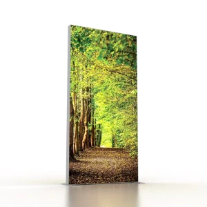 Rectangle Indoor Hanging LED Light Box Full Color High Brightness Display Stand 80mm Aluminum Frame Advertising Exhibition