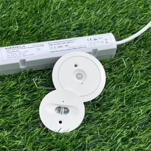 Slim Recessed LED Emergency Light DALI 2.0 Manual Test Self-Test 3 Hour 200lm/W CB CE for Home Office Apartment Small Business