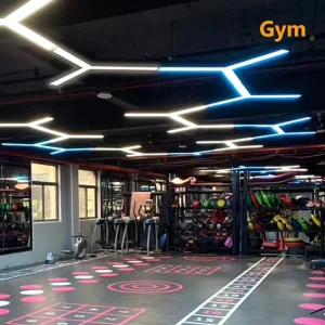 Special Shape Modern Commercial Detailing AC110V-240V Dimmable RGB Smart Linear Lamp