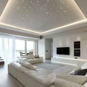 Starry Sky Star Panel Ceiling Lights PMMA Fiber Optic LED Lighting with Remote Control Dimmable Lightweight for Home IP65 Rating