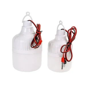 Super Bright LED Working Emergency Light 20W 30W 40W Office Use CRI 80 6500K DC AC 2 Year Warranty RoHS VDE CE