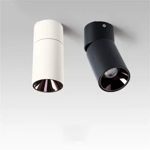 Surface Mounted Adjustable Ceiling Down Lamp Round Aluminum Indoor Led Spotlights