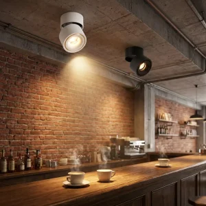 Surface Mounted LED Spotlight Ceiling Light COB Track Light Small Downlight for Coffee Bar