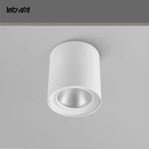 Surface Mounted Pendant LED Downlight IP65 15W 50W Modern Ceiling Light for Hotel Atrium Lighting