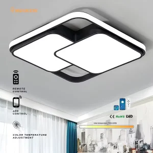 Surface Mounted Round Ceiling Lamp LED Ceiling Light for Living Room Modern Home Indoor Lighting Fixture