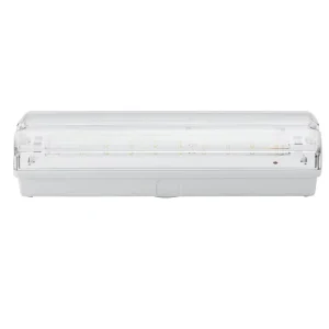TUV UAE COC Approved by Civil Defense Emergency Rechargeable LED Light 3.6V Battery