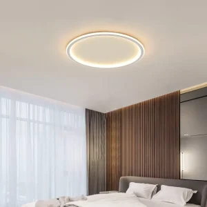 Thin Iron Acrylic LED Ceiling Light IP44 AC Creative Ultra-bright Modern Simple Surface-Mounted High CRI 90 Bedroom