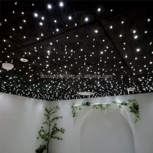 Twinkle RGB Fiber Optic Star Ceiling Light 0.75mm Transparent Plastic Fiber Optic
