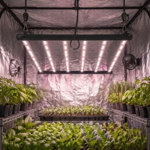 UV IR LED Grow Light for Indoor Vertical Farming 640W 720W 800W 1000W