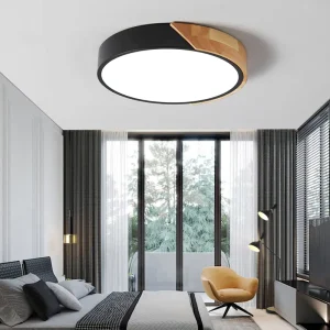 Ultra Thin Ceiling Light Round Panel Light Black Metal and Acrylic 24W 6000K Surface Mounted for Bedroom Living Room