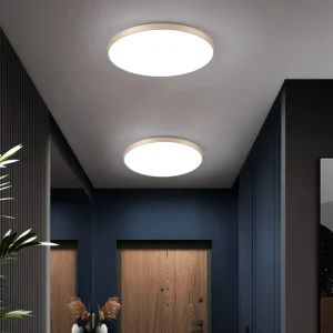 Ultra Thin Ceiling Lights Bathroom LED Ceiling Lights Easy Installation Modern Panel Dusty Proof AC220V 30W 20