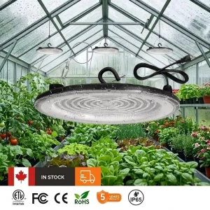 Ultra-thin Round IP65 240W UFO LED High Bay Light Aluminum Body Indoor Lighting Industrial Fixture Shop Warehouse Garage Lights