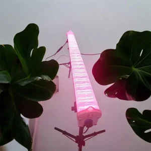 Under Canopy Supplemental Lighting with Enhanced Far Red for Canopy Penetration Secondary Metabolite Production