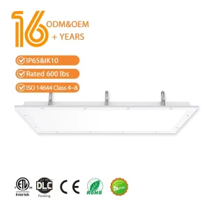 Wash down Area Industrial & Commercial Lighting CIP Compatible