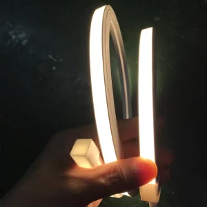 Waterproof IP65 5050 RGB LED Strip Light ABS Profile Controller CRI80 DC24V Dimmable Permanent Landscape Outdoor Christmas