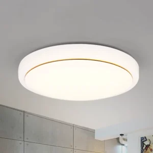White Modern AC Iron Surface Mounted LED Ceiling Light Fixture Simple Round High Brightness Balcony Study Lighting